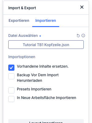Reiter Importieren mit den Importoptionen Vorhandene Inhalte ersetzen und Backup vor dem Import herunterladen