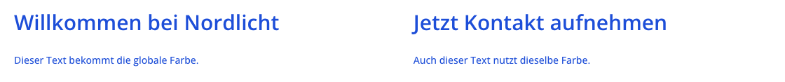Zwei Textblöcke in Blau im Divi Canvas