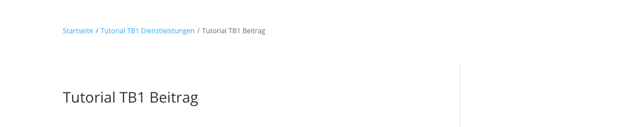 Breadcrumbs auf einem Beitrag: Startseite, Kategorie, Beitragstitel