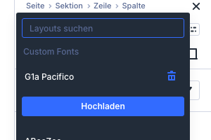 Schriftenliste mit dem Eintrag G1a Pacifico unter Custom Fonts und einem Papierkorb-Symbol