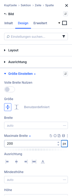 Bild-Modul im Reiter Design mit Maximale Breite 200px im Divi Builder